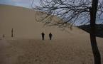 Les nouveaux horizons de la dune du Pilat