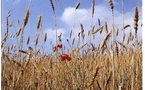 Le boom du bio: Aquitaine et Midi-Pyrénées en tête