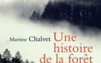 Une histoire de la forêt  de Martine Chalvet Prix du Livre Environnement Une histoire de la forêt  de Martine Chalvet Prix du Livre Environnement