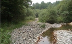 Sécheresse: économies d'eau et nouvelles réserves au programme en Adour-Garonne