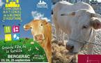 La blonde d'Aquitaine emblème de la ruralité à Bergerac