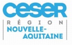 Le CESER  Nouvelle-Aquitaine pas insensible à la crise des gilets jaunes