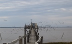 La Charente-Maritime encourage la photographie de la nature