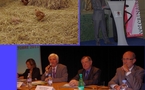 Les farines animales reviendront-elles dans les mangeoires?