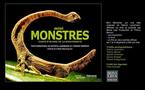 Les mini-monstres de l'Amazonie s'exposent en Gironde