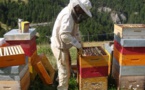 MIEL: Les apiculteurs réclament la vérité des étiquettes