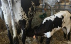 Salon de l'Agriculture de Nouvelle Aquitaine:du changement dans l'air