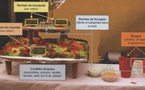 Veille sanitaire en Aquitaine: les leçons des infections à l'Escherichia coli de Bègles