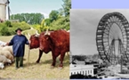 Parcs d'attraction: en Périgord le Bournat fête ses 20 ans