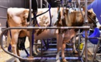 Mesures anti-virus:le cas de l'agriculture était oublié...