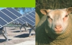 Plaidoyer en faveur du projet photovoltaïque d'Arsac