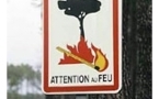 Protection de la forêt contre l'incendie: interdictions et conseils