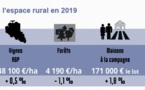 Marché foncier 2019:déjà un mouvement vers la campagne