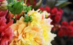 La plateforme Sessile au secours des artisans fleuristes