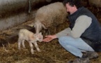 L' agneau de lait des Pyrénées monte à Paris lancer son IGP