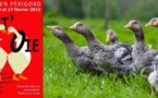 Sarlat Fest'Oie ce week-end