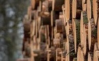 La filière bois s'engage dans la "décarbonation"