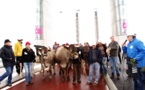 Les  éleveurs sur le pont 