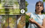 Rencontre internationale sur le phylloxera: l'ennemi de la vigne toujours sous surveillance