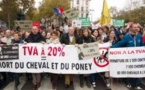 Le monde du cheval se cabre en masse contre "l'équitaxe"