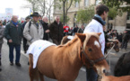 Equitaxe:la France cavalière veut envahir l'Europe le 23 décembre