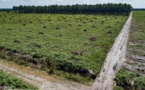 Photovoltaïsme géant: craintes agricoles  en Gironde