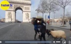 Folies béarnaises: répétition sur les Champs-Elysées