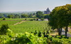 Lancement d'un Bachelor cognac en partenariat