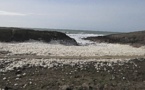Les tempêtes successives "écument" les côtes bretonnes