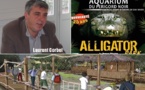 Aquarium du Périgord Noir:poissons des rivières et alligators des bayous