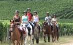 A la découverte des vignes et des châteaux du Saint-Emilionnais avec A Terre à Cheval