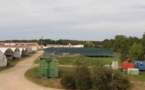 Sturio2 nouvel outil dans le sauvetage de l'esturgeon à Saint-Seurin-sur-l'Isle