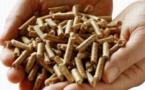 Chauffage et énergie:la filière pellets en forme