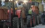 Journée d'action des agriculteurs: Sivens en point de mire à Toulouse