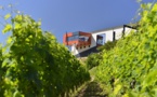 Le Château La Croizille sacré «International Best Of Wine Tourism 2015 »