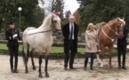 Evènement pré-Jumping International:le Cadre Noir au Jardin Public de Bordeaux