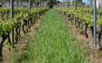 Le vignoble de demain au Vinopôle Bordeaux-Aquitaine