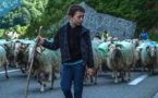 L'UNESCO met la transhumance à l'honneur