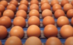L'œuf ukrainien pourrait déstabiliser la filière française