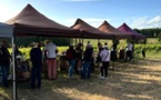 Sauternes et Barsac: voyage dans arômes et paysages