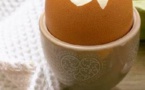 Un cri d'alarme des producteurs d'œufs 