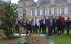L'arbre des 70 ans de la Sécurité Sociale planté à Lormont (Gironde)