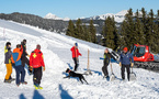 Chiens d'avalanche  en action   en Savoie