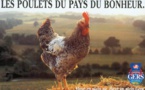 Le poulet du Gers va fêter ses 40 ans