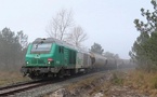 Landes: le train du maïs redémarre