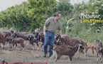 L'agriculture biologique en danger