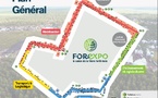 FOREXPO 2025:la filière bois a rendez-vous à Mimizan