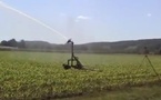 La levée des contraintes agricoles ne fait pas l'unanimité