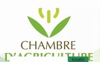 Le fait départemental freine la régionalisation des chambres d'agriculture