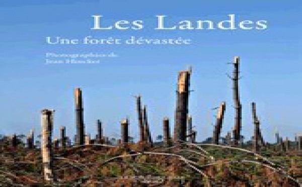 Sur la piste de Klaus dans la forêt landaise